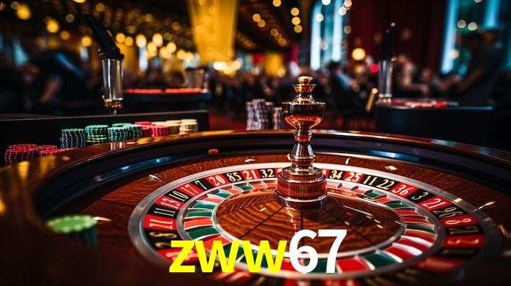 Flash Promotion zww67